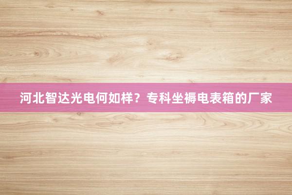 河北智达光电何如样？专科坐褥电表箱的厂家