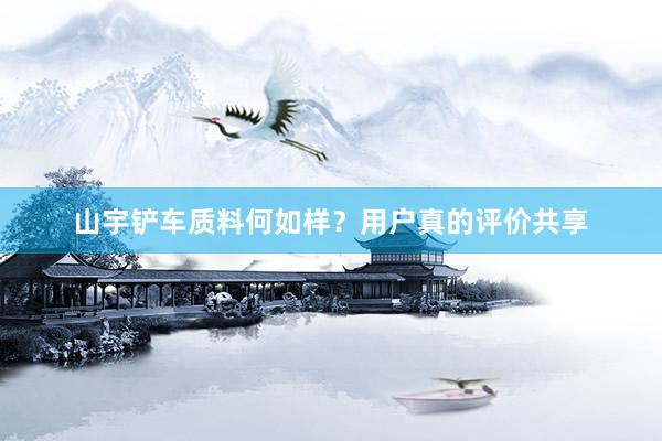山宇铲车质料何如样？用户真的评价共享